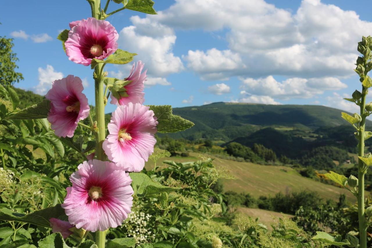Bed & Breakfast Casa Lisetta Valtopina Экстерьер фото