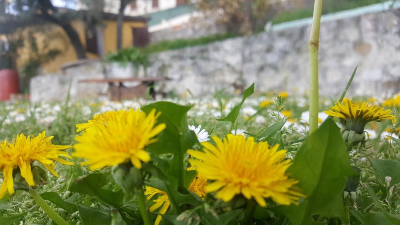 Bed & Breakfast Casa Lisetta Valtopina Экстерьер фото