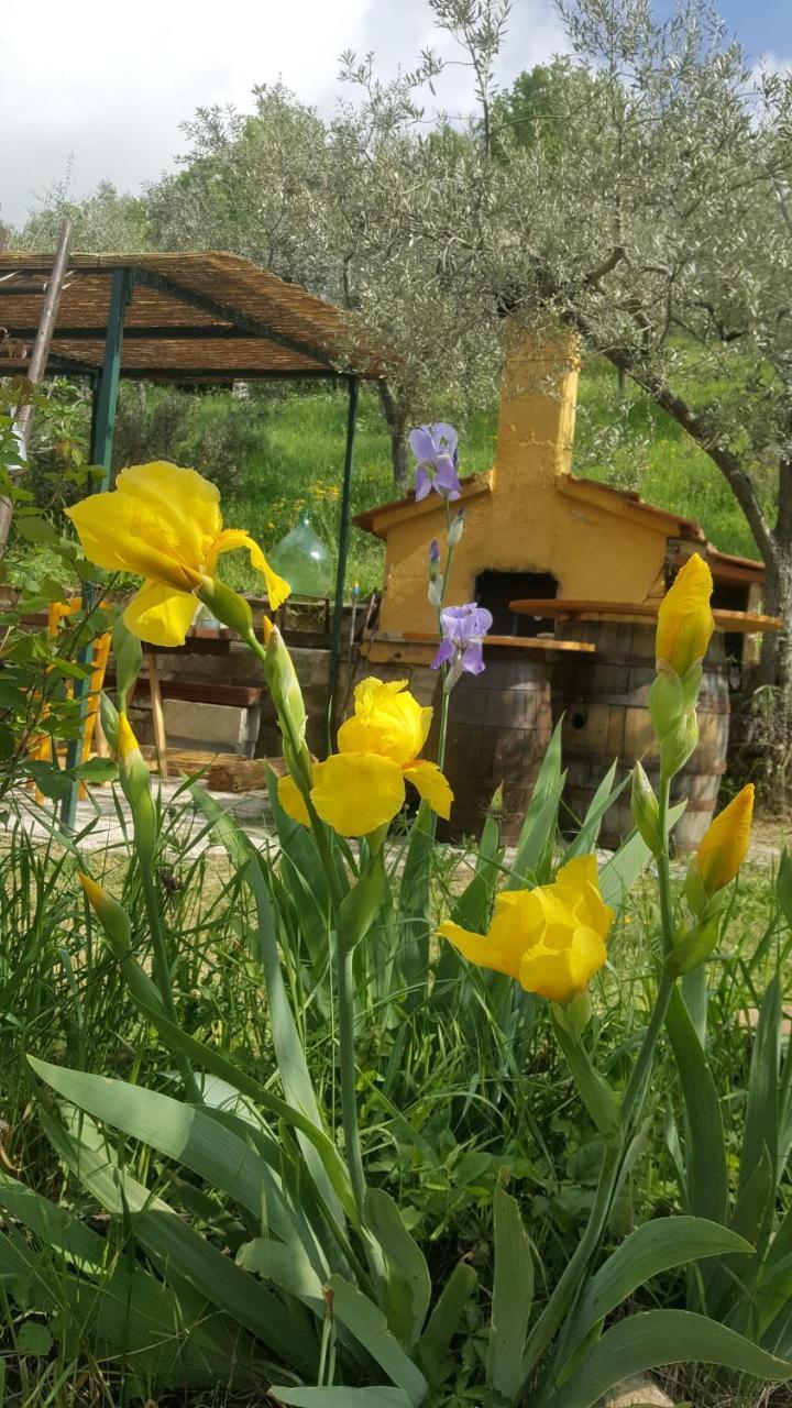 Bed & Breakfast Casa Lisetta Valtopina Экстерьер фото