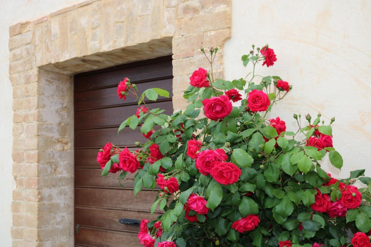 Bed & Breakfast Casa Lisetta Valtopina Экстерьер фото