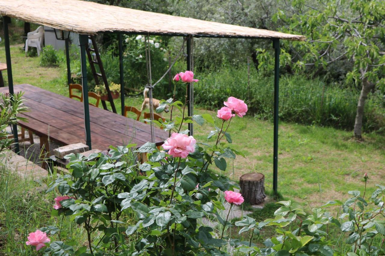 Bed & Breakfast Casa Lisetta Valtopina Экстерьер фото